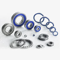 Stainless Steel Bearing