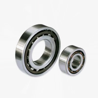 Angular contact bearing