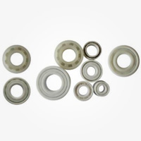 Plastic Bearing
