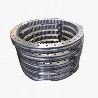 Slewing Bearing